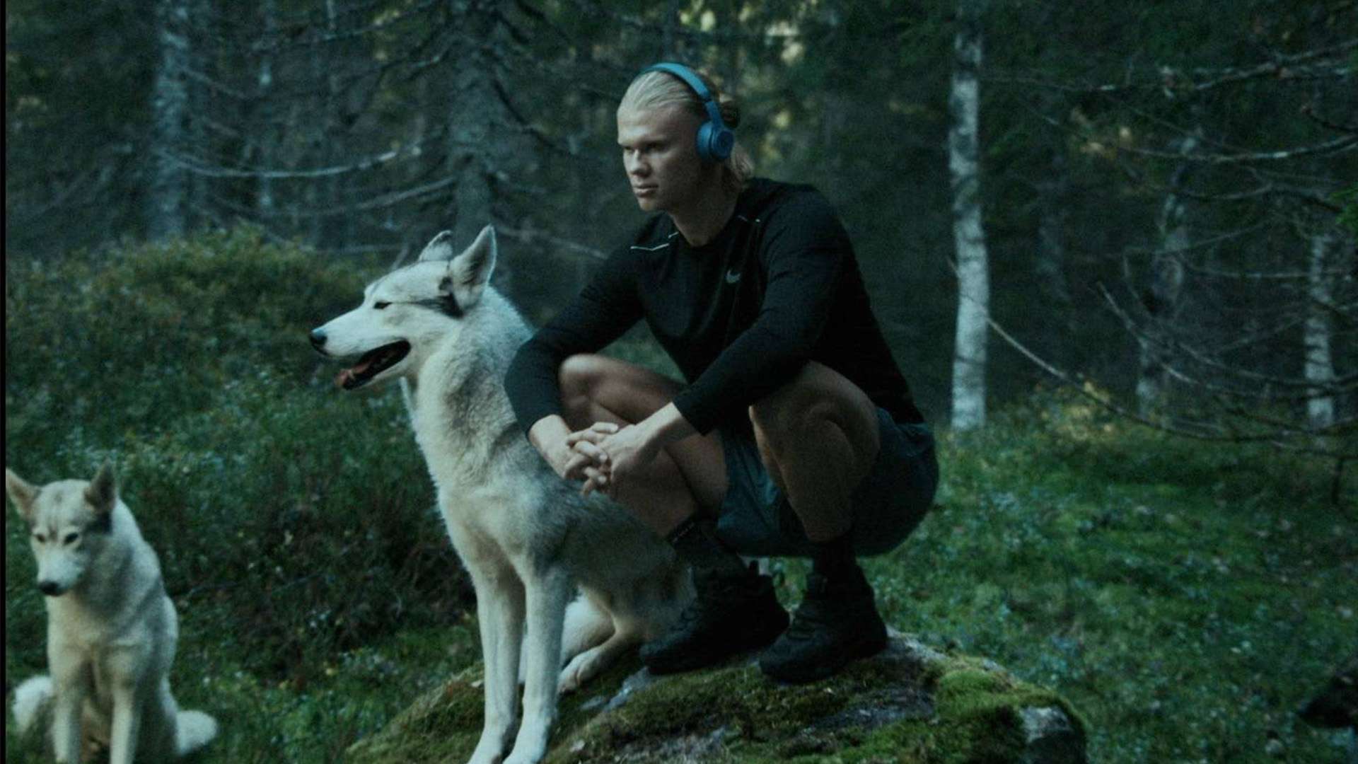 篮反弹的关 篮反弹的关