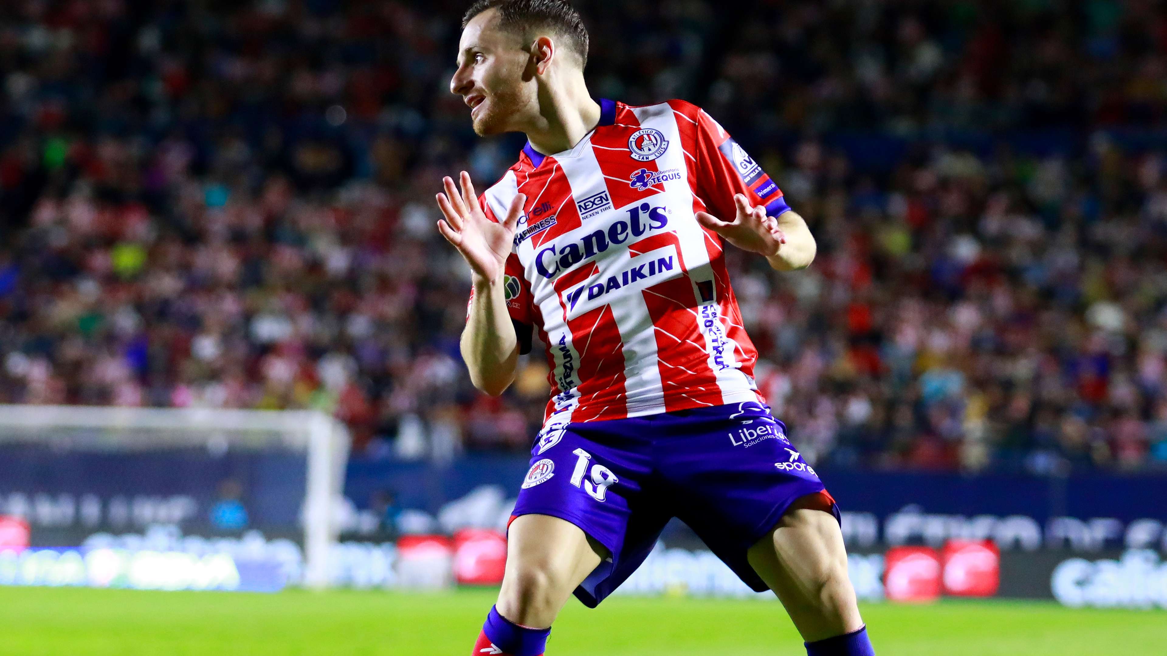 的大比分輕 的大比分輕