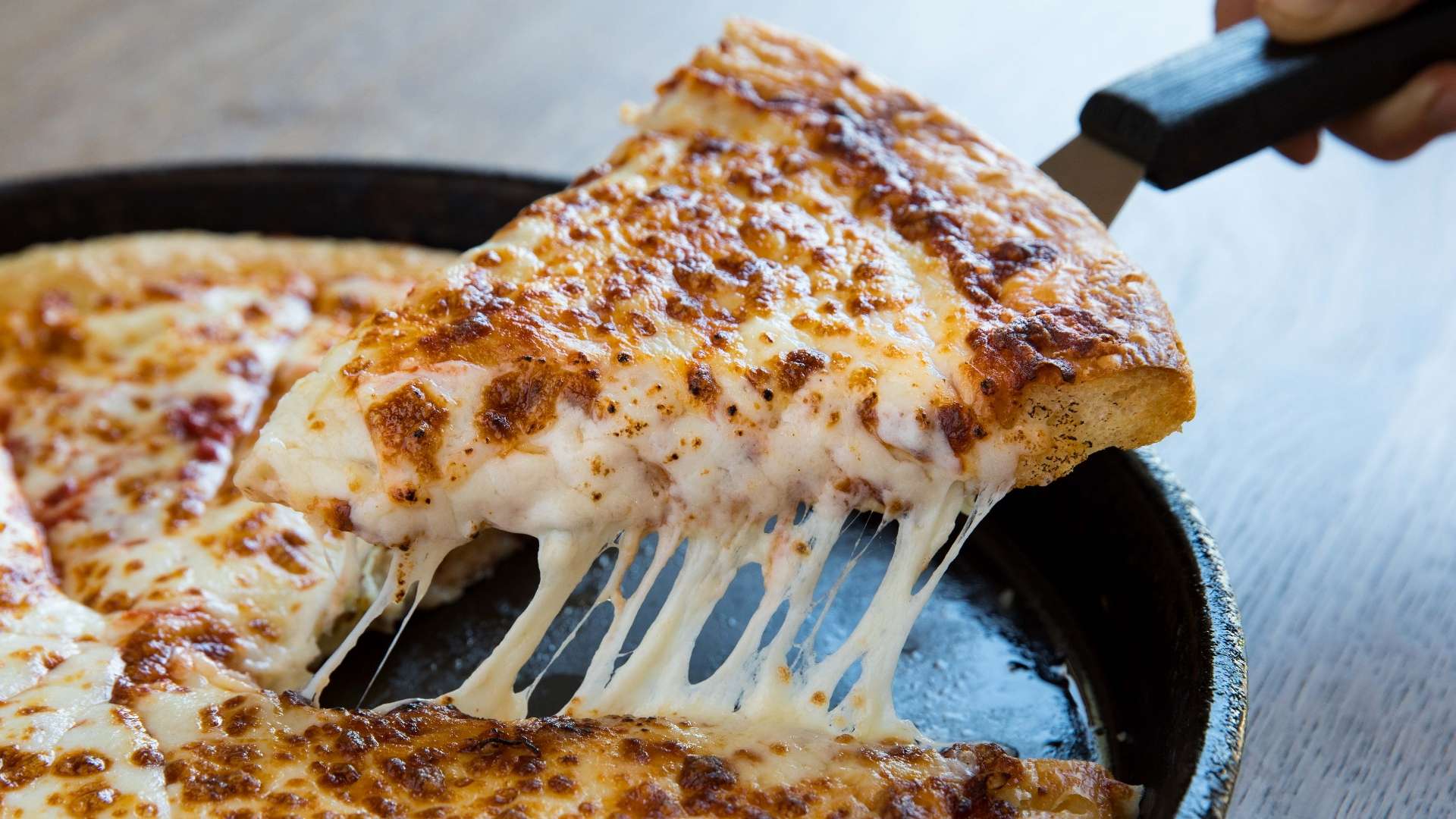 家队带来一 家队带来一